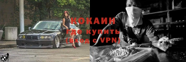 шишки Вяземский