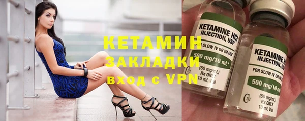 шишки Вяземский