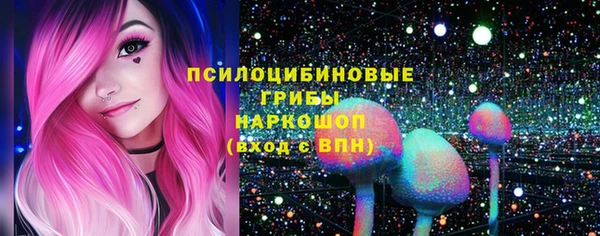 шишки Вяземский