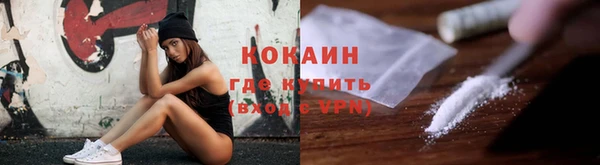 шишки Вяземский