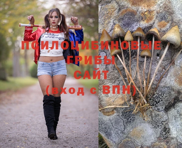 шишки Вяземский