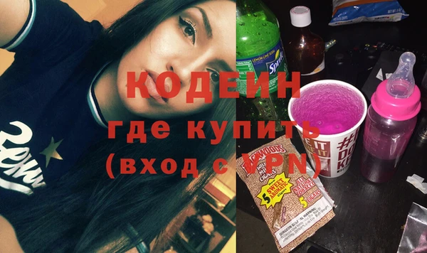 шишки Вяземский