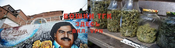шишки Вяземский