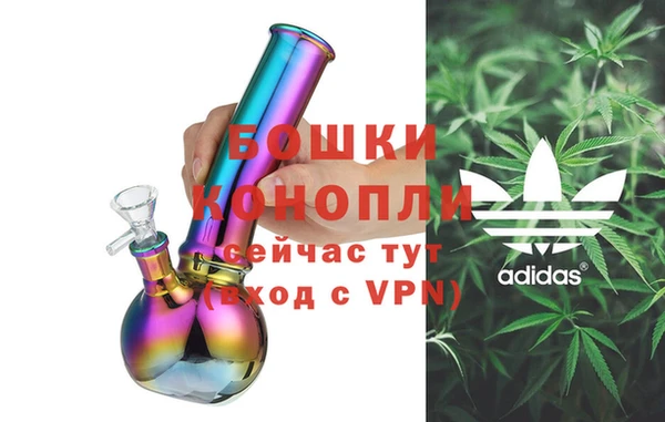 шишки Вяземский