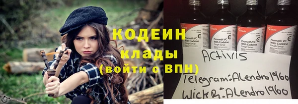 шишки Вяземский